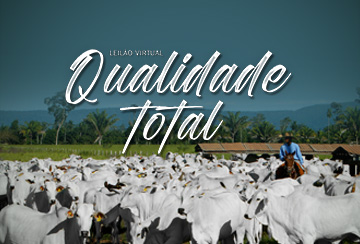 LEILÃO VIRTUAL QUALIDADE TOTAL